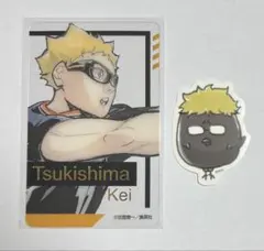 ハイキュー　月島蛍　ツキガラス　箔押しクリアカード　ミニダイカットステッカー