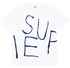 supreme painted tee ライトオリーブM ステッカー付き supreme painted tee ライトオリーブM ステッカー付き supreme
