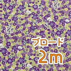 【SALE】ブロード2ｍ　お花畑にゃんこ　コットンこばやし