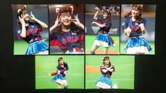 工藤彩音 WBCきつねダンス 写真6枚○日本ハム ファイターズガール2023