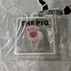 THE PIG めじるしチャーム