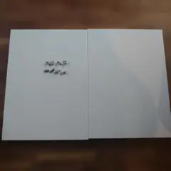 IKEA BILLY イケア ビリー　ホワイト　棚板2枚