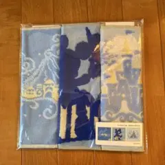 激レア!!ディズニー35周年のバケーションパッケージ限定♡タオルセット 東京ディズニーリゾート35周年 バケーションパッケージ タオル