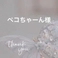 専用