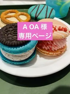 専用ページ　AOA様