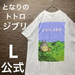 公式　となりのトトロ 希少デザイン　海外輸入　ジブリ