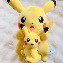 ポケットモンスター ポケモン ピカチュウ ぬいぐるみ＆マスコット ２点 セット