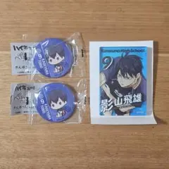 影山飛雄 キャラクターグッズ