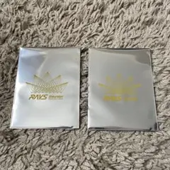 Snow Man 2024 RAYS チケット風カード 岩本照 2枚