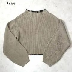 ITEMSアーバンリサーチ ニット セーター ショート丈 ステッチ ベージュF
