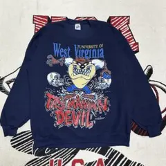 【状態良好】90s スウェット looney tunes warner brosのサムネイル