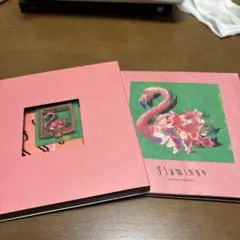 Flamingo/TEENAGE RIOT(フラミンゴ盤)