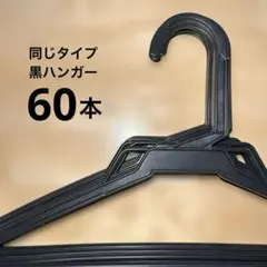 Item thumbnail for item 51ae9362-b7cb-47f8-afe3-d389d4c7dbbf