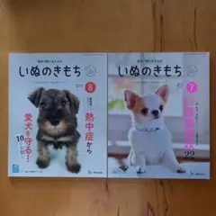 2025年最新】いぬのきもち 7月号の人気アイテム - メルカリ