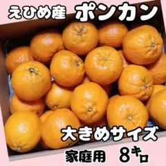 愛媛県産✩ポンカン✩大きめサイズ 家庭用８㌔