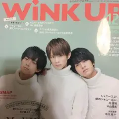 Wink up 切り抜き ❁❀✿✾最安値