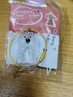 わんこのタイムカプセル モコ