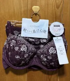Elegante ブラジャー ショーツ セット E75のサムネイル