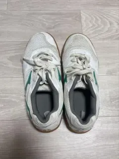 ミズノ 体育館シューズ 24.5cm