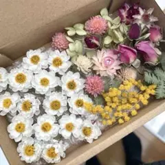 ドライフラワー花材セット　No.51