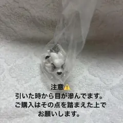プロ野球マスコット　めじるしアクセサリー　西武ライオンズ