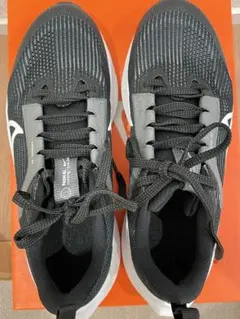 Nike air zoom Pegasus 40 23cm