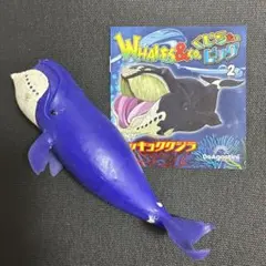 ホッキョククジラ　ブックレット くじら　&co デアゴスティーニ　アンドコのサムネイル