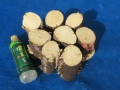 Item thumbnail for item 4b6d9e11-3e96-4a53-90e6-5109f489380d