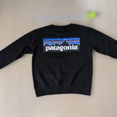 Patagonia スウェット ブラックのサムネイル