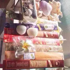 おまとめ買い様リピーター様専用ページプルメリア切れ→スターフィッシュ