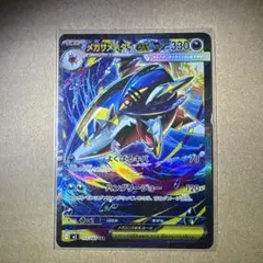 オスゴリラ様 リクエスト 3点 まとめ商品