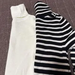 メリノリブタートル