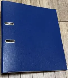 Item thumbnail for item 66097e40-cfa7-42a5-a38b-c843746b7134