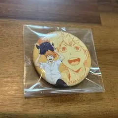 ハイキュー　日向翔陽　缶バッジ　アニマルマスコット