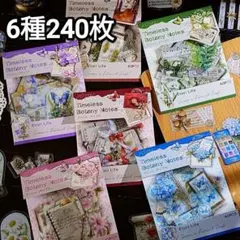 新！F73 時の物語 ステッカー コラージュ素材 PET シール