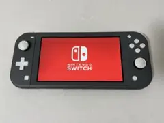 Nintendo Switch Lite グレー 本体
