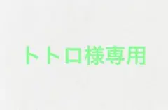 トトロ様専用