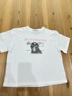 RIKOTA オリジナル original photo dog tee