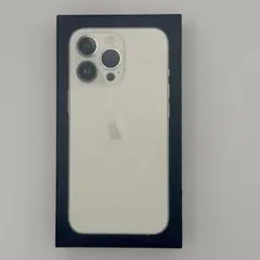 Apple iPhone 13 Pro シルバー　空箱