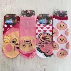 新品　こびとづかん靴下セット 23～25cm