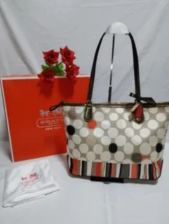 美品 希少 コーチ COACH ショルダーバッグ ハンドバッグ 25126