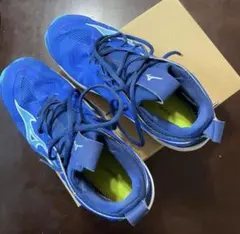 Item thumbnail for item fa5fe696-aa79-4c7a-b78e-11ee42ca719e