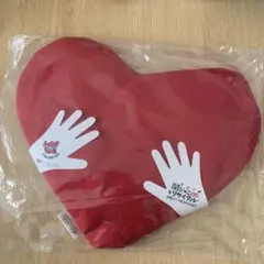 関ジャニ∞ SUPER EIGHTリサイタル お前のハートをつかんだる‼︎ ポーチ