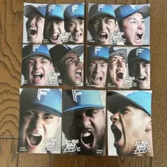 ファイターズ 記念グッズ