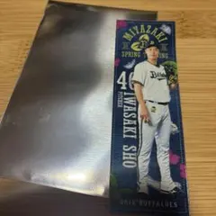 Item thumbnail for item 80dcc628-f833-4274-aa92-16004122fa9b