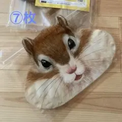 Item thumbnail for item 03b7ca61-bdd5-4fde-8dff-29ff3aec87ba