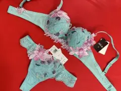サルート29 店舗限定 BEベージュ ブラジャーF65ソングMセット - メルカリ