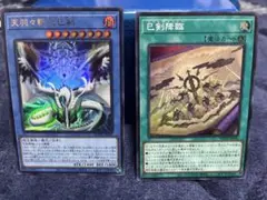 【遊戯王】天羽々斬之巳剣 & 巳剣降臨 セット