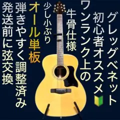 オール単板Greg Bennett ASDMアコースティックギター - メルカリ