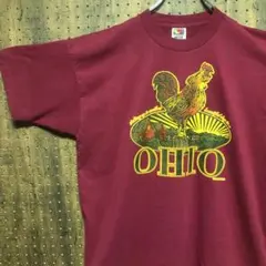 00s 90s　フルーツオブザルーム　Tシャツ　サイズXL　SMA362